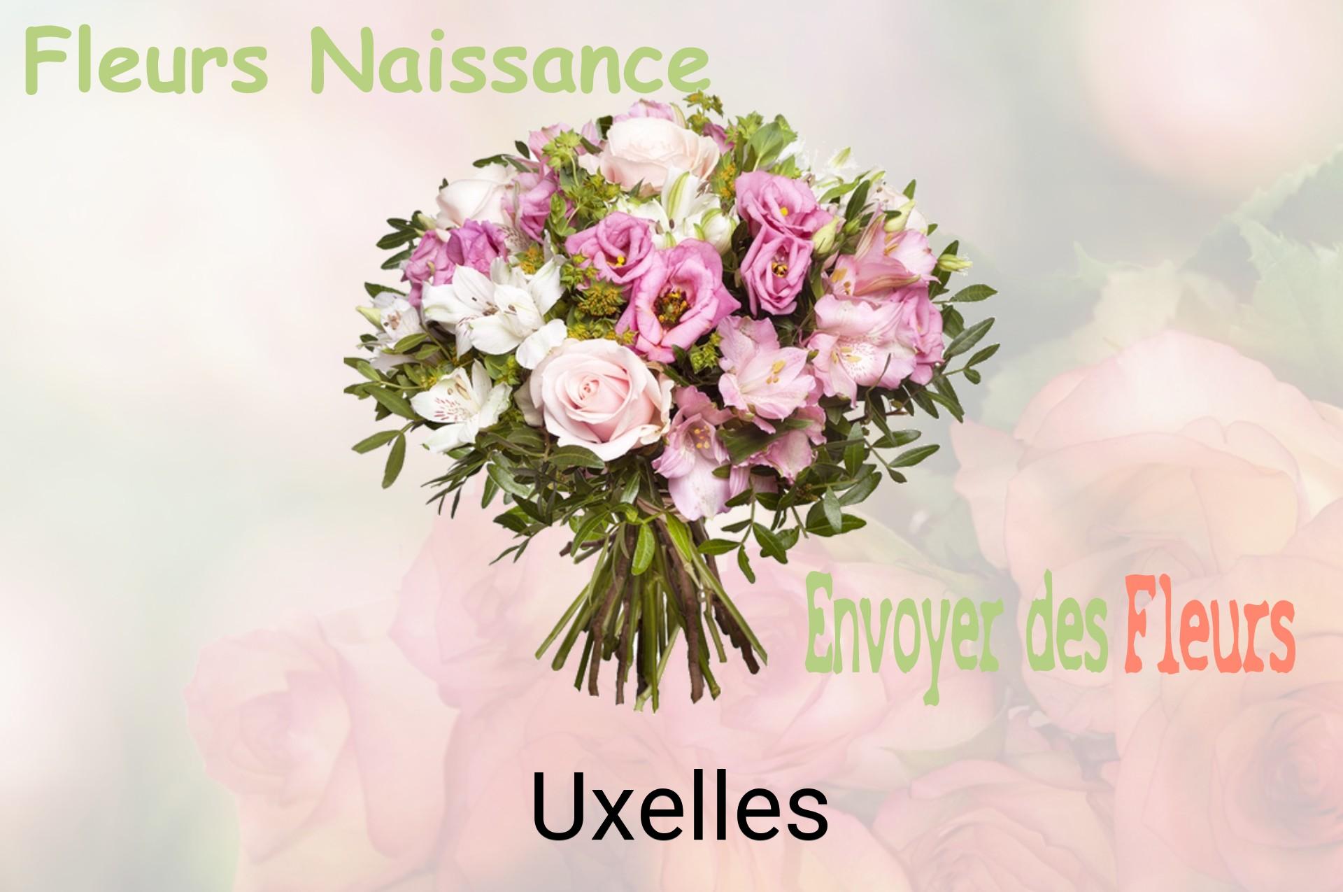 Bouquet de fleurs de naissance livré à Uxelles