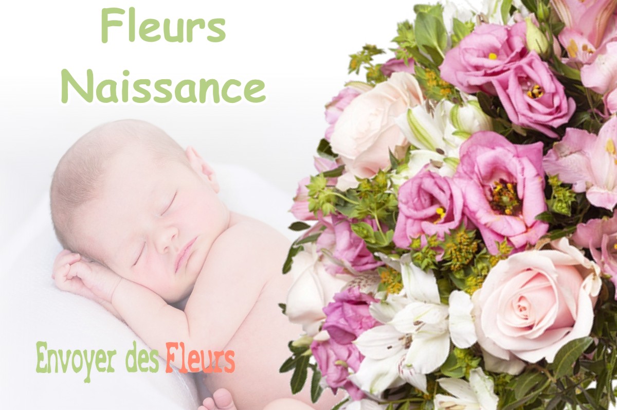 lIVRAISON FLEURS NAISSANCE à UXELLES