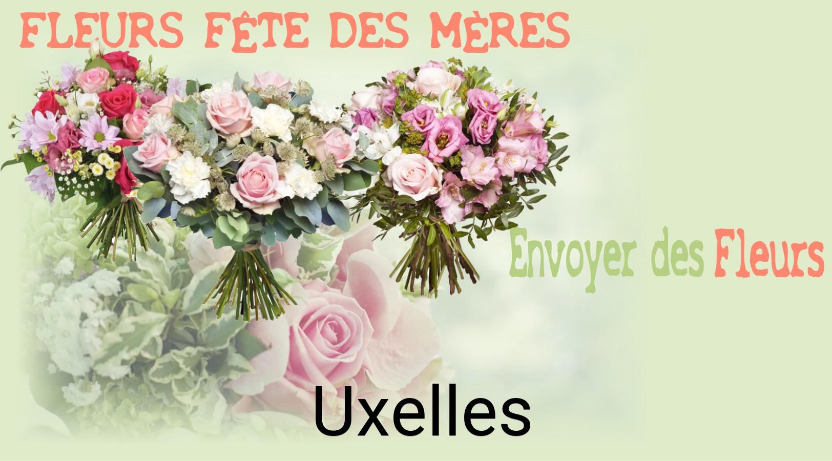 Bouquet de Fête des Mères livré à Uxelles